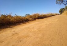 Motociclista morre em acidente na LMG-726, em Presidente Olegário