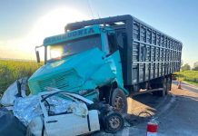 Batida entre caminhão e picape deixa dois mortos na BR-163