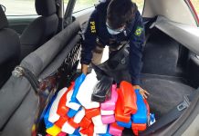 PRF apreende 50 tijolos de maconha na BR-153, em SP