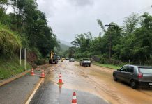 Chuvas fortes provocam queda de taludes e árvores na RJ-116