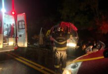 Van sai da pista na BR-020, em Formosa (GO), e deixa dois mortos e 6 feridos