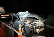 Irmão de deputado federal morre em acidente na BR-153, no TO