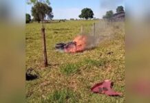 Motociclista de 39 anos morre em acidente com CBR-1000, na PR-482