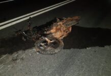 Motociclista morre na BR-222, em Piripiri (PI)