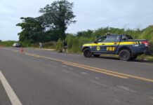 Colisão na BR-343 mata motociclista, em Cocal de Telha (PI)