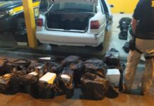 PRF flagra carro com 394 garrafas de vinho na BR-101, em Barra Velha (SC)