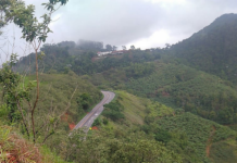 Nova lei nomeia trecho de rodovia federal no Espírito Santo