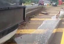Colisão na BR-373 mata uma pessoa, em Ponta Grossa (PR)