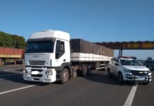 Caminhoneiro é preso com quase 5 toneladas de maconha na SP-280
