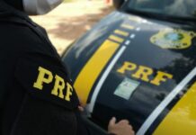 Motorista analfabeto é flagrado com CNH falsa na BR-235, em Canudos (BA)