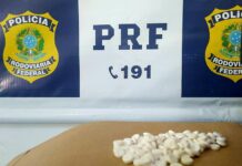 Caminhoneiro é multado na BR-135, no Piauí, por porte de anfetaminas