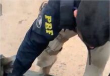 Polícia apreende 17kg de cocaína em lona de caminhão na BR-364
