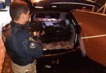 Caminhoneiro é preso na BR-376 por transportar 223 quilos de drogas