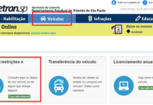 Registro sobre multas e veículos na internet passa a ser obrigatório