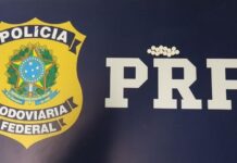Caminhoneiro é flagrado com rebite e maconha na BR-316, no Pará
