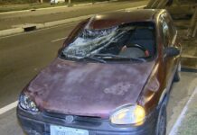 Mulher morre atropelada na BR-262, em Cariacica (ES)