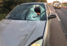 Homem morre atropelado na BR-290, em Eldorado do Sul (RS)