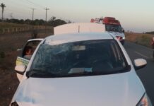 Ciclista morre atropelado por táxi na BR-421, em Rondônia