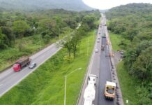 Justiça confirma indenização à motorista que chocou carro com cavalo na BR-101/SC