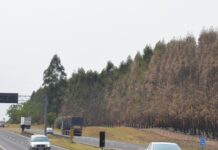 Concessionária realiza melhorias na rodovia SP-225, em Jaú