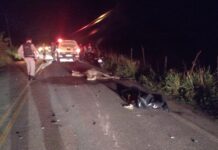 Acidente na AL-210 entre moto e cavalo mata 1 e fere 2, em Capela