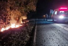 Mulher morre e dois ficam feridos na PR-466, entre Kaloré e Borrazópolis