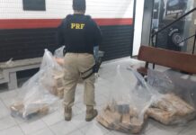 Após fuga e perseguição, PRF apreende 173 kg de droga na Dutra (BR-116)
