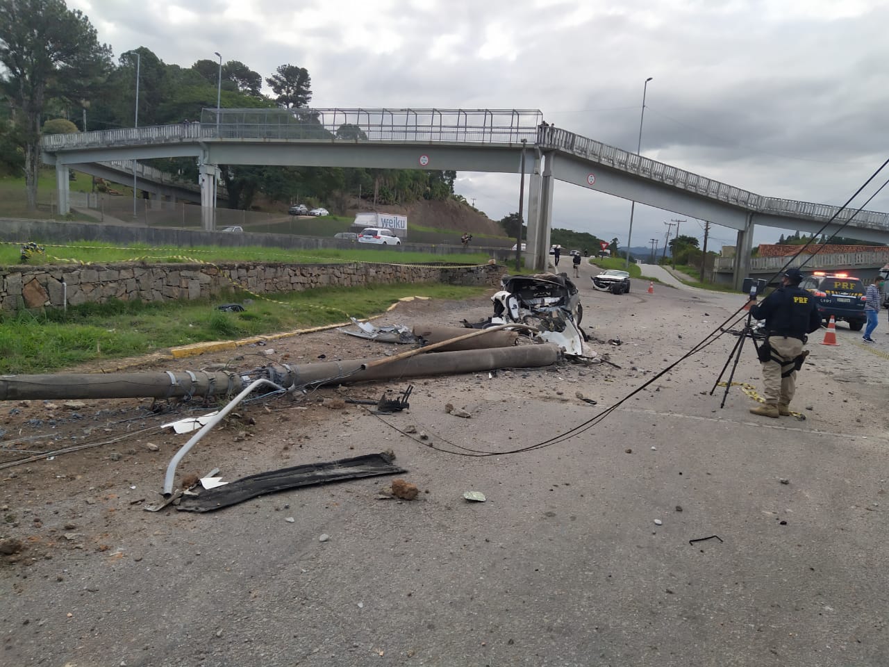 Operação da PRF recolhe 23 cavalos abandonados em rodovias do Recife e Zona  da Mata — Polícia Rodoviária Federal