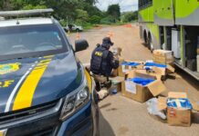 Polícia apreende drogas dentro de bagageiro de ônibus na BR-365, em Minas