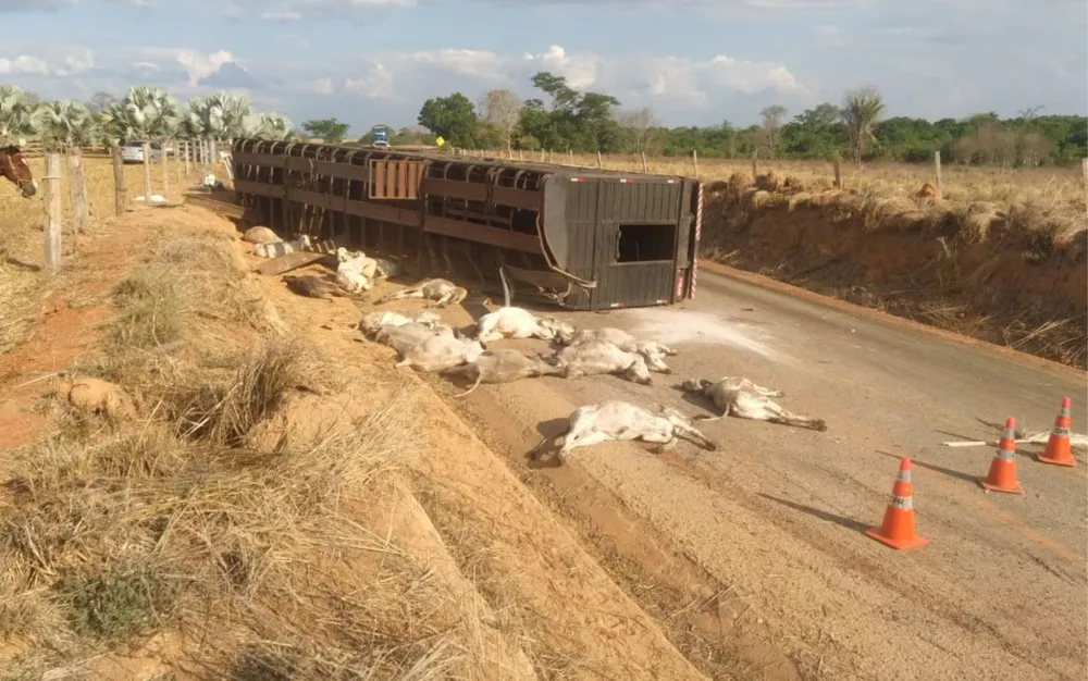 Tombamento de carreta deixa motorista ferido em seara - Rádio RuralFM