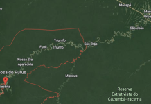 MPF vai à Justiça para impedir construção ilegal de estrada no Acre