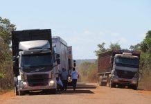 Ações prioritárias em transportes devem facilitar escoamento da safra agrícola