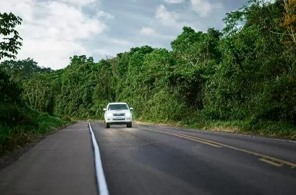 Rodovia_BR_163_MT_PA (copy) (1)