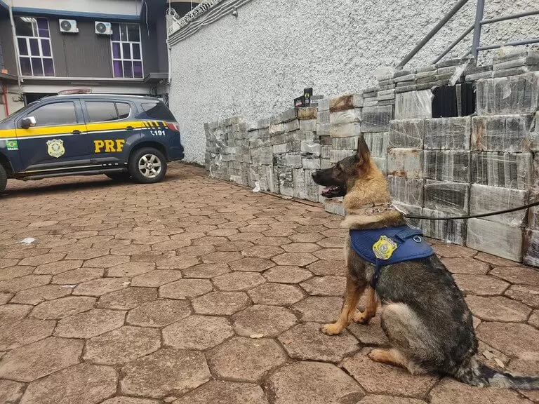 PRF_MS_BR_060_Caminhoneiro_Cocaina