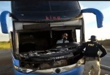 Ônibus da Rápido Federal apreendido com motorista de capacete na BR-050 tem 11 multas