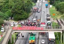 VÍDEO: Indígenas fecham a rodovia BR-101, na região de Palhoça, em Santa Catarina