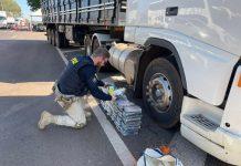 PRF apreende na BR-277, no Paraná, 85 kg de drogas avaliadas em mais de R$ 15 milhões