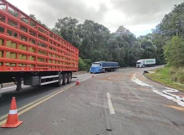 Rodovia_BR_277_Liberada