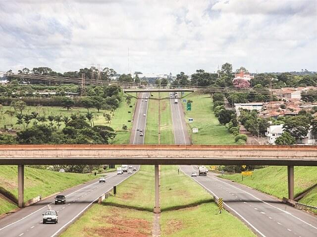 Rodovia_SP_065_Campanha_22 (2)