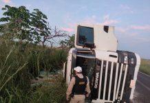 VÍDEO: Carreta do Paraguai tomba na MGC-497 com 20 toneladas de drogas