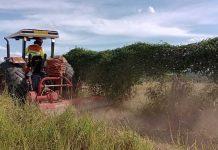 Renovias intensifica trabalho de manutenção de aceiros para evitar expansão de focos de incêndio