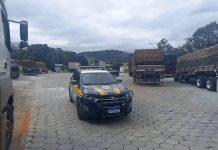 Operação da PRF autua mais de 230 caminhões com irregularidades na Fernão Dias (BR-381)