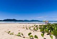 Ubatuba realiza investimentos para fortalecer o turismo no litoral norte de SP