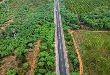 Usuários da BR-110 ganham mais segurança com revitalização de 39,5 quilômetros, em Petrolândia (PE)