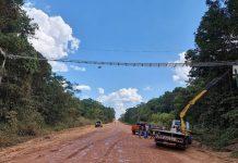Rodovia BR-319, no Amazonas, ‘ganha’ a primeira passagem superior de fauna