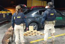 Toyota Corolla com carga milionária de cocaína é apreendido na BR-277, no Paraná