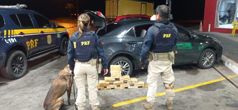 PRF_BR_277_Cocaina_PR