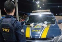 Apreensões na BR-364, em RO, descobrem R$ 3,5 milhões em drogas e envolvimento de 1 criança
