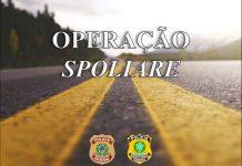 PF e PRF deflagram operação conjunta no estado do Paraná