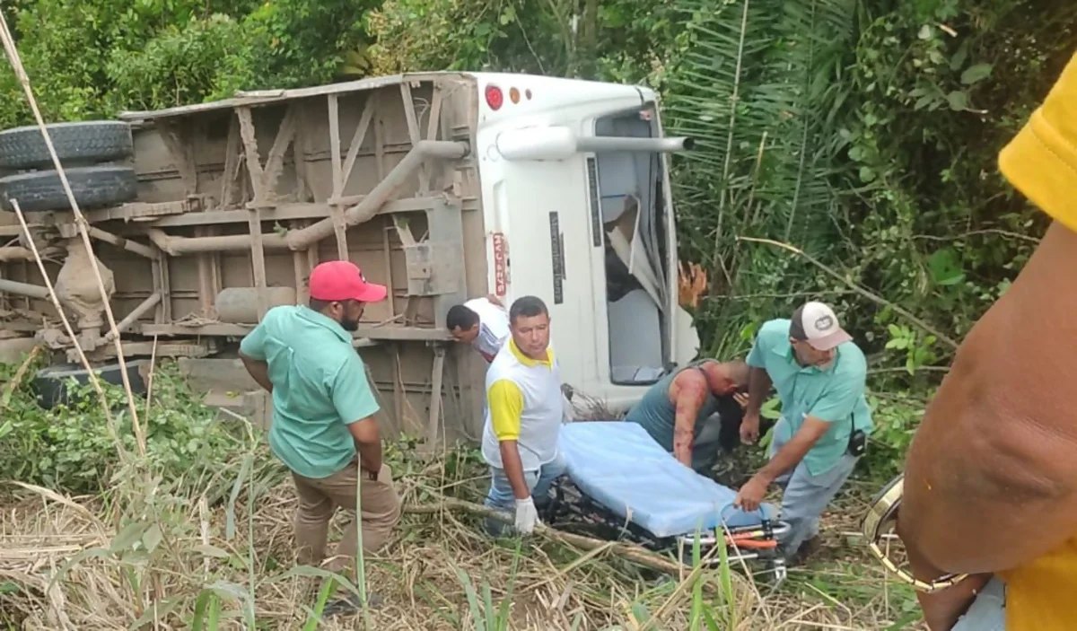 Três trabalhadores ficam feridos em queda de ônibus na AL-105, em São Luís do Quitunde
